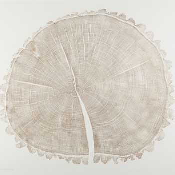 Golden Oak by Shona Branigan, Relief print