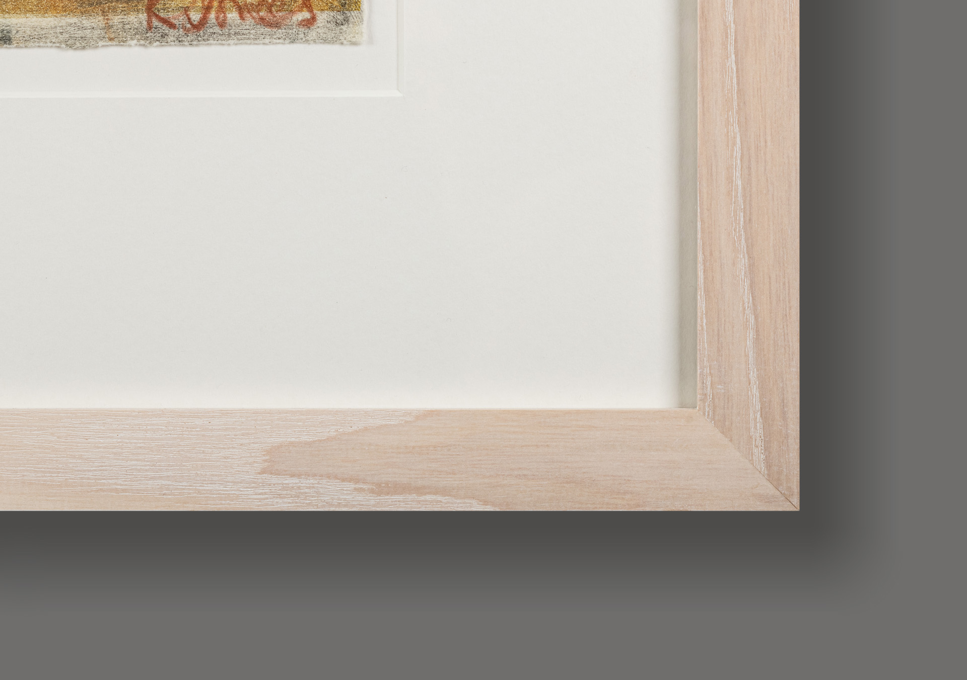 Frame detail of Bar-Tailed Godwit