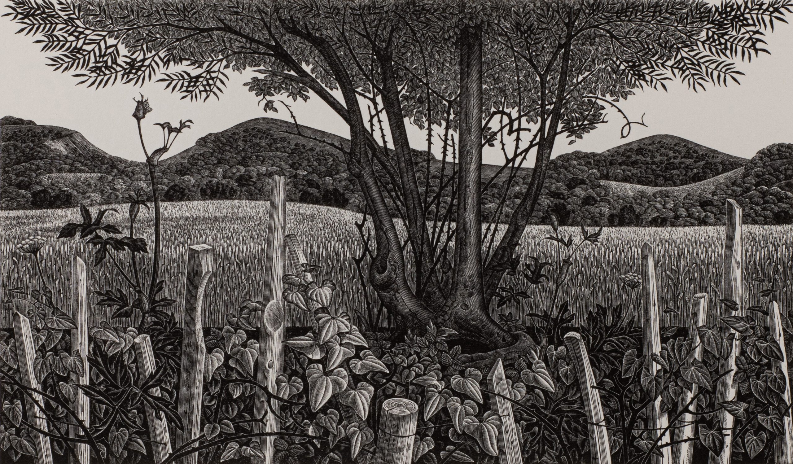 Pilgrims' Way by Monica Poole, Wood engraving