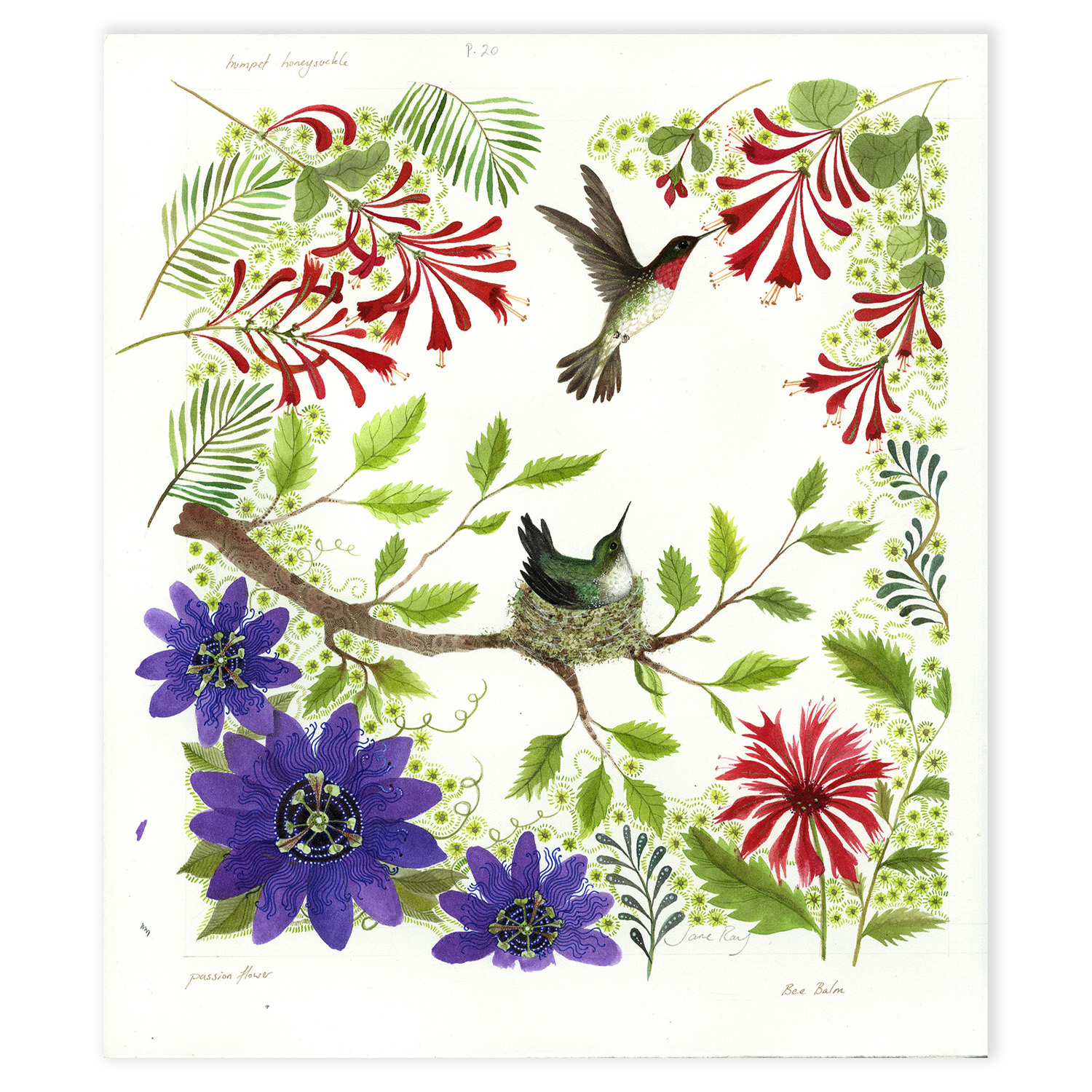 Hummingbirds and Passion Flower in Mixed Media by Jane Ray