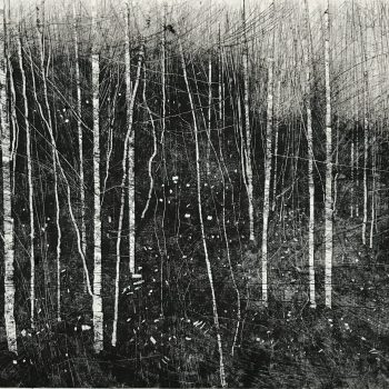 Falling Leaves 1V Monoprint David A Parfitt RI