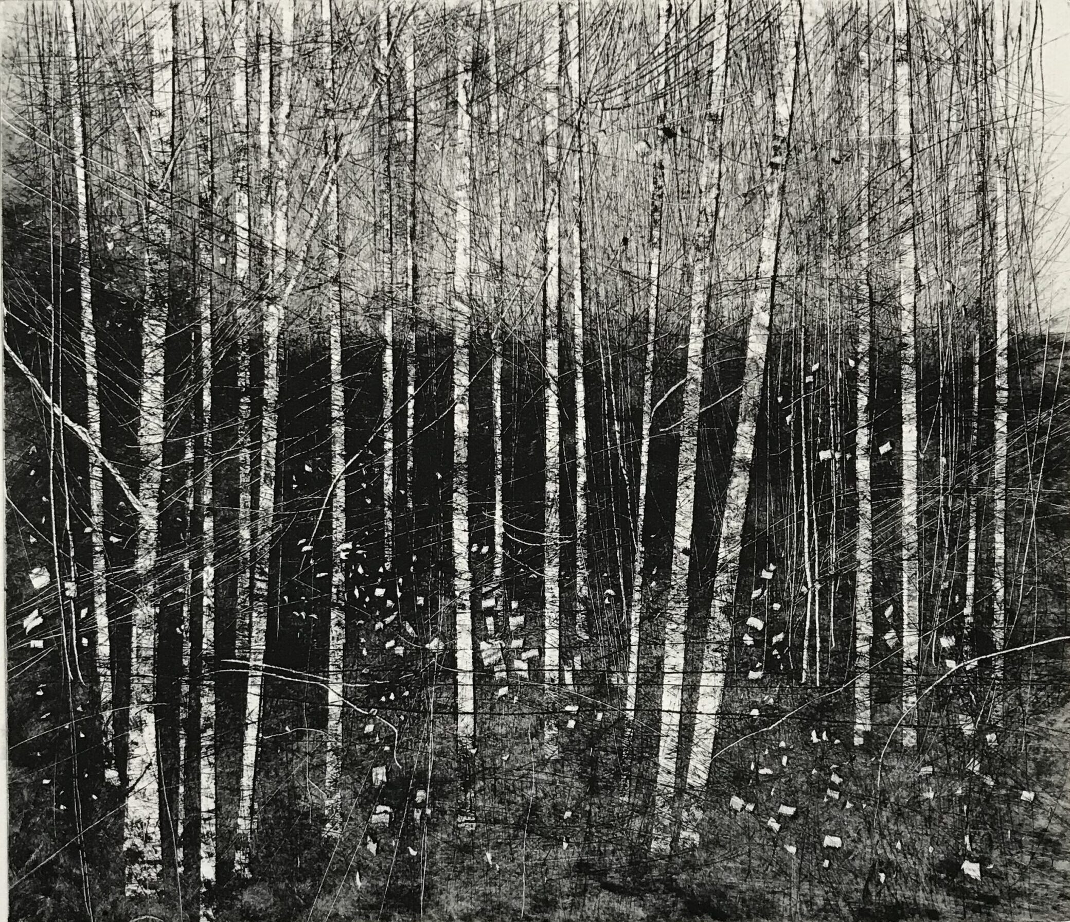 Lockdown Walk I Monoprint by David A Parfitt RI