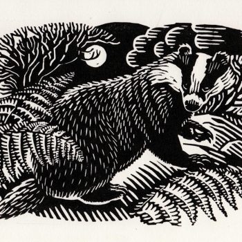 Badger by Richard Allen, Linocut print
