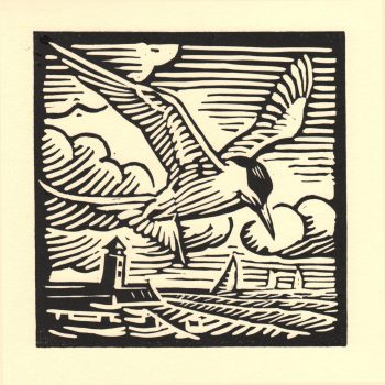 Common Tern by Richard Allen, Linocut print