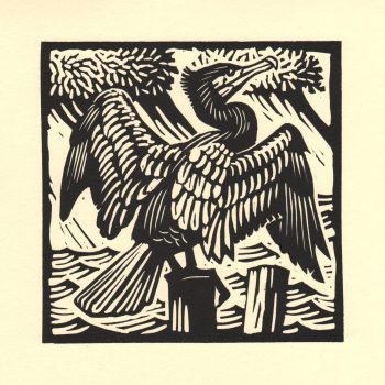 Cormorant by Richard Allen, Linocut print