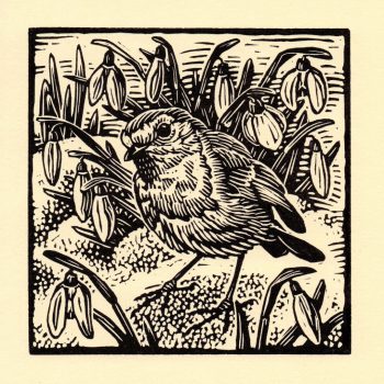 Robin by Richard Allen, Linocut print