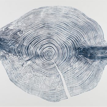 Silver Fir by Shona Branigan, Relief Print