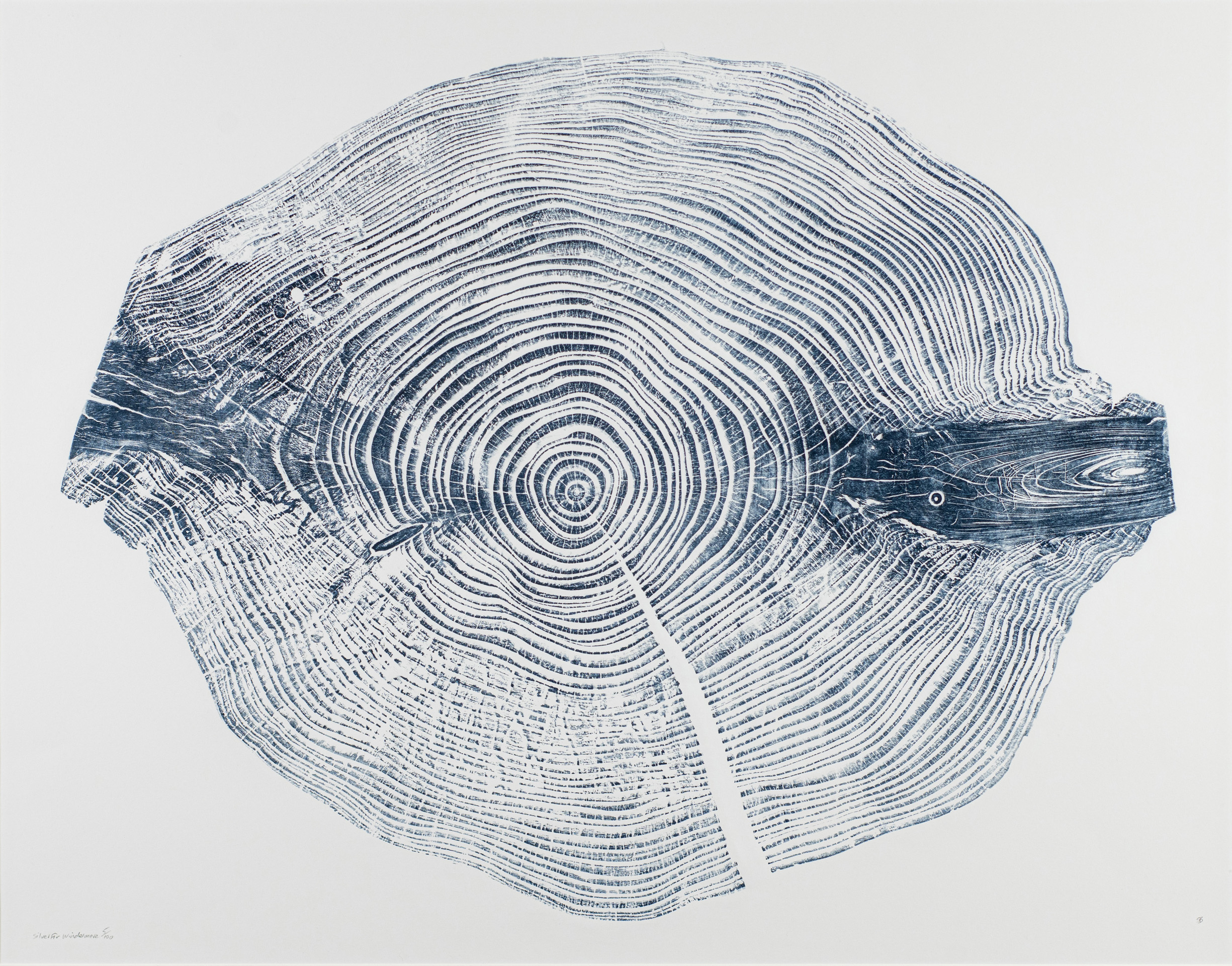 Silver Fir by Shona Branigan, Relief Print Silver Fir by Shona Branigan, Relief Print