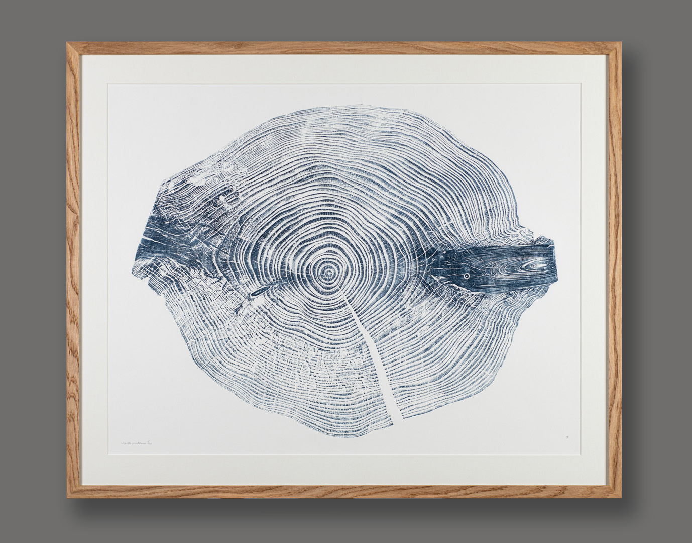 Silver Fir by Shona Branigan, Framed Silver Fir by Shona Branigan, Framed