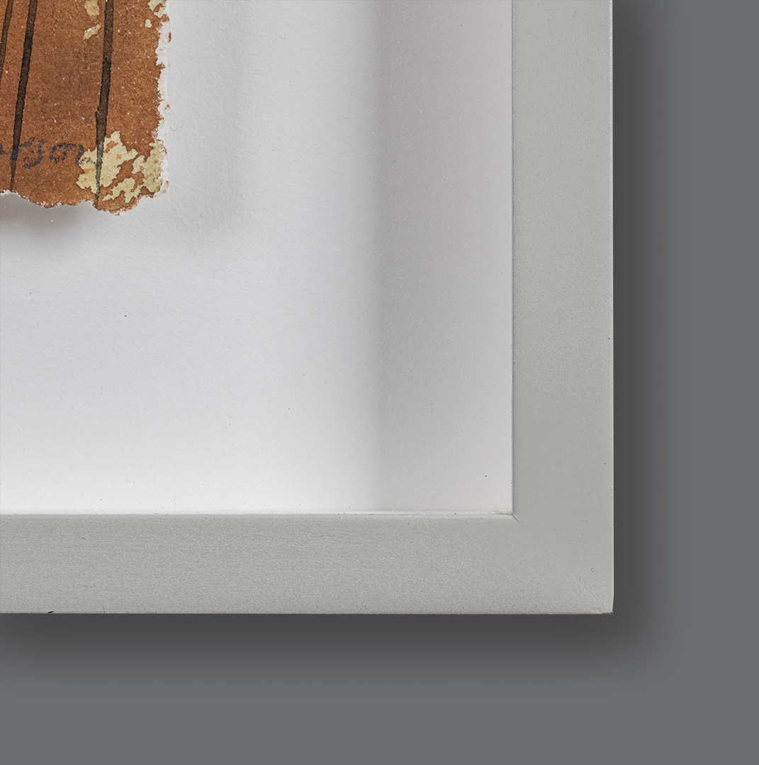 Frame detail of Golden Fennel Seedhead Garden Frame detail of Golden Fennel Seedhead Garden