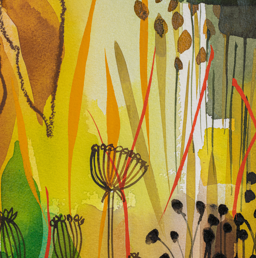 Detail of Golden Fennel Seedhead Garden by Tessa Pearson Detail of Golden Fennel Seedhead Garden by Tessa Pearson