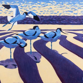 Four Avocets by Richard Allen