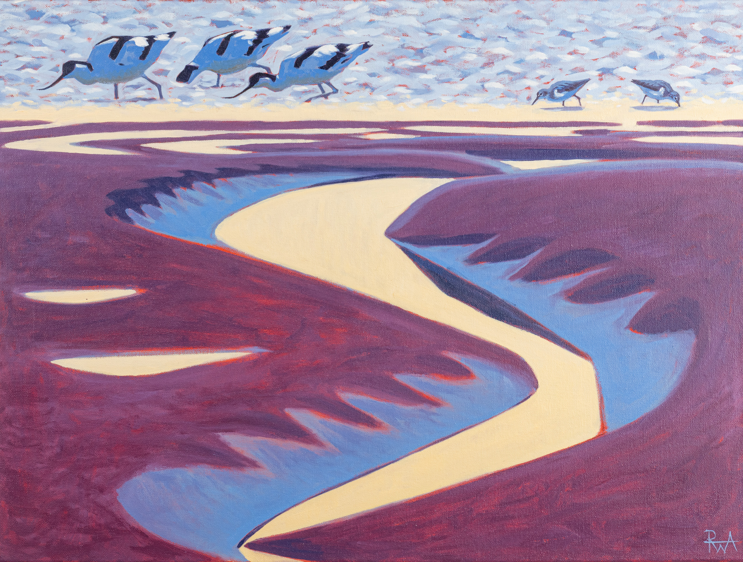 Creek shapes & Avocets by Richard Allen