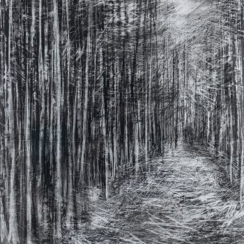 Cropton Forest IV, charcoal drawing by Janine Baldwin PS