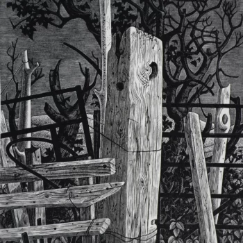 Cattle Barrier cover image for Monica Poole