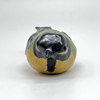 Great Tit, front view by Elissa Palser