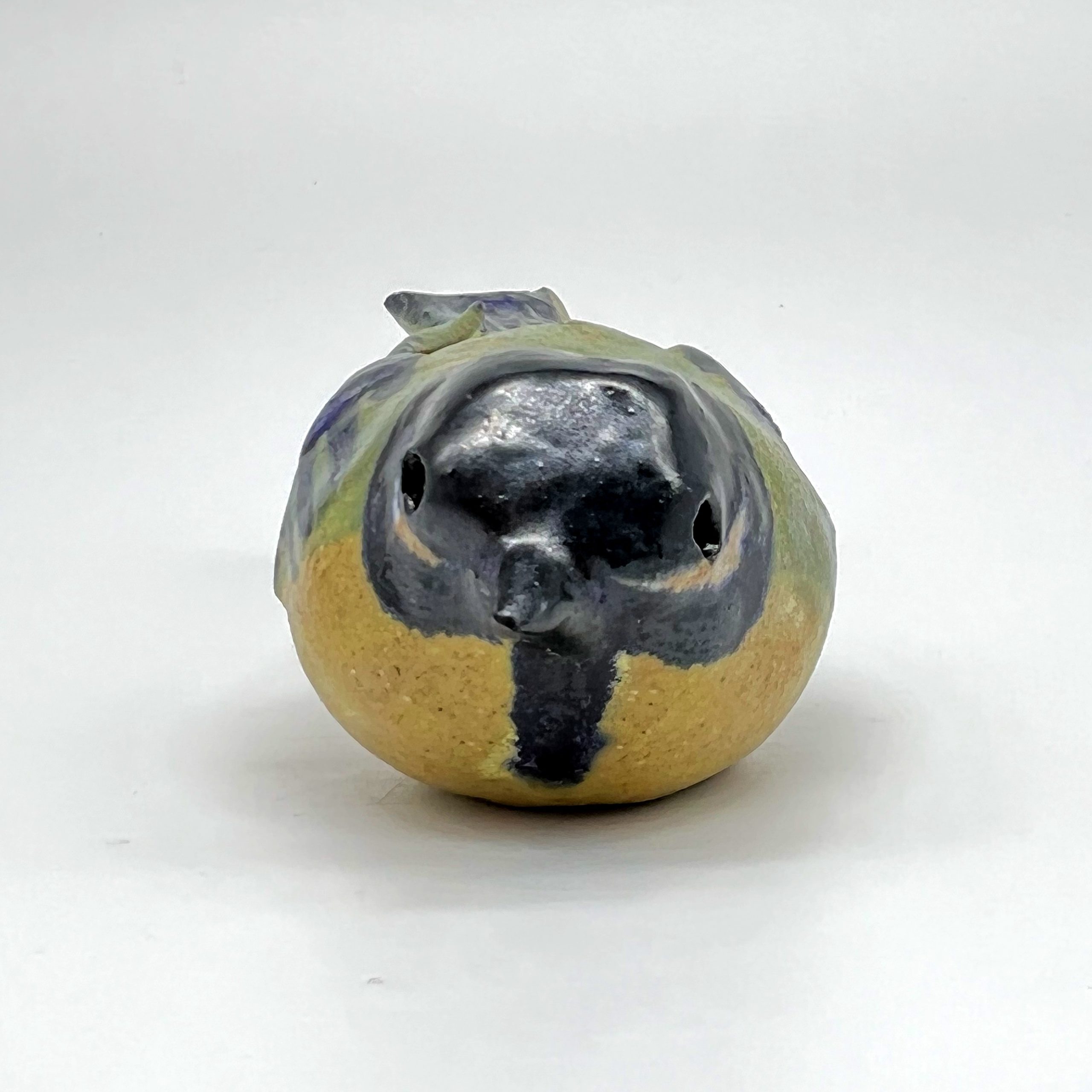 Great Tit, front view by Elissa Palser