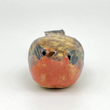 Robin, front view by Elissa Palser