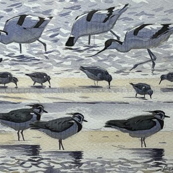 Waders at the Creek, watercolour painting by Richard Allen SWLA