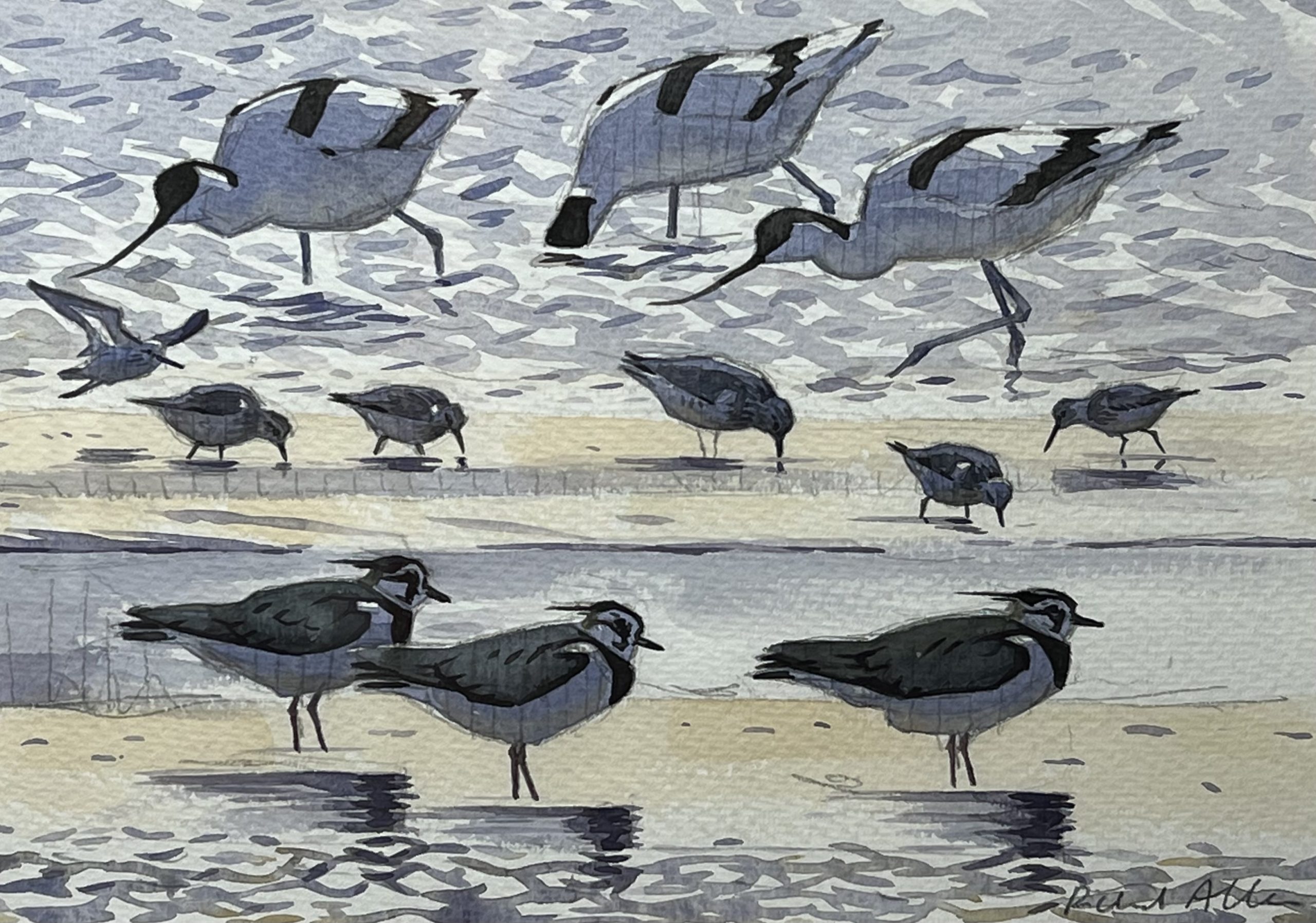 Waders at the Creek, watercolour painting by Richard Allen SWLA