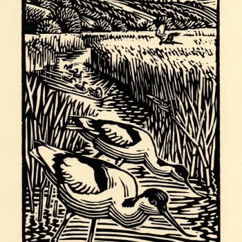 Minsmere, linocut by Richard Allen SWLA