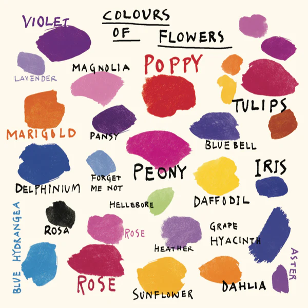 Colours of Flowers, greetings card by Jenny Frean