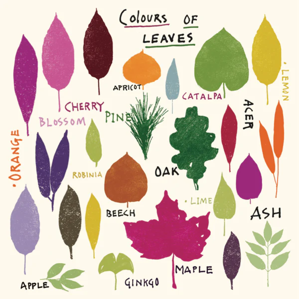 Colours of Leaves, , greetings card by Jenny Frean Colours of Leaves, greetings card by Jenny Frean