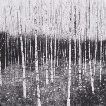 Amongst the Birch, 1/1 monoprint by David A Parfitt RI