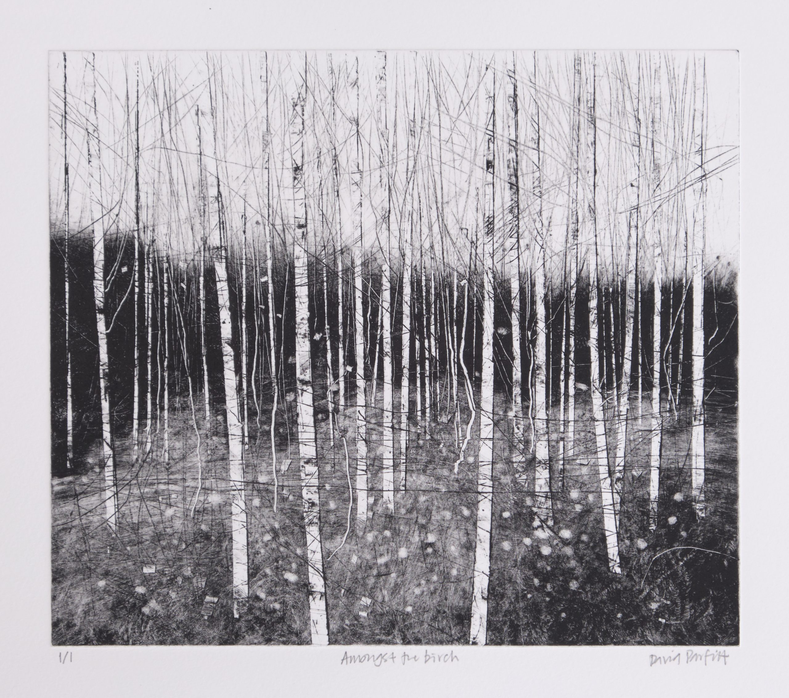 Amongst the Birch, 1/1 monoprint by David A Parfitt RI