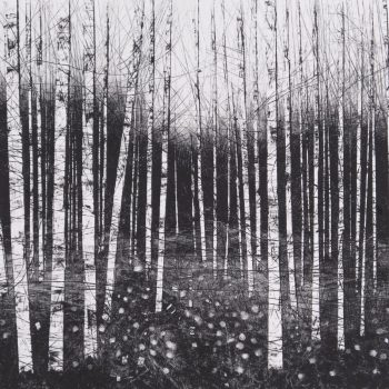 Birch Walk, 1/1 monoprint by David A Parfitt RI