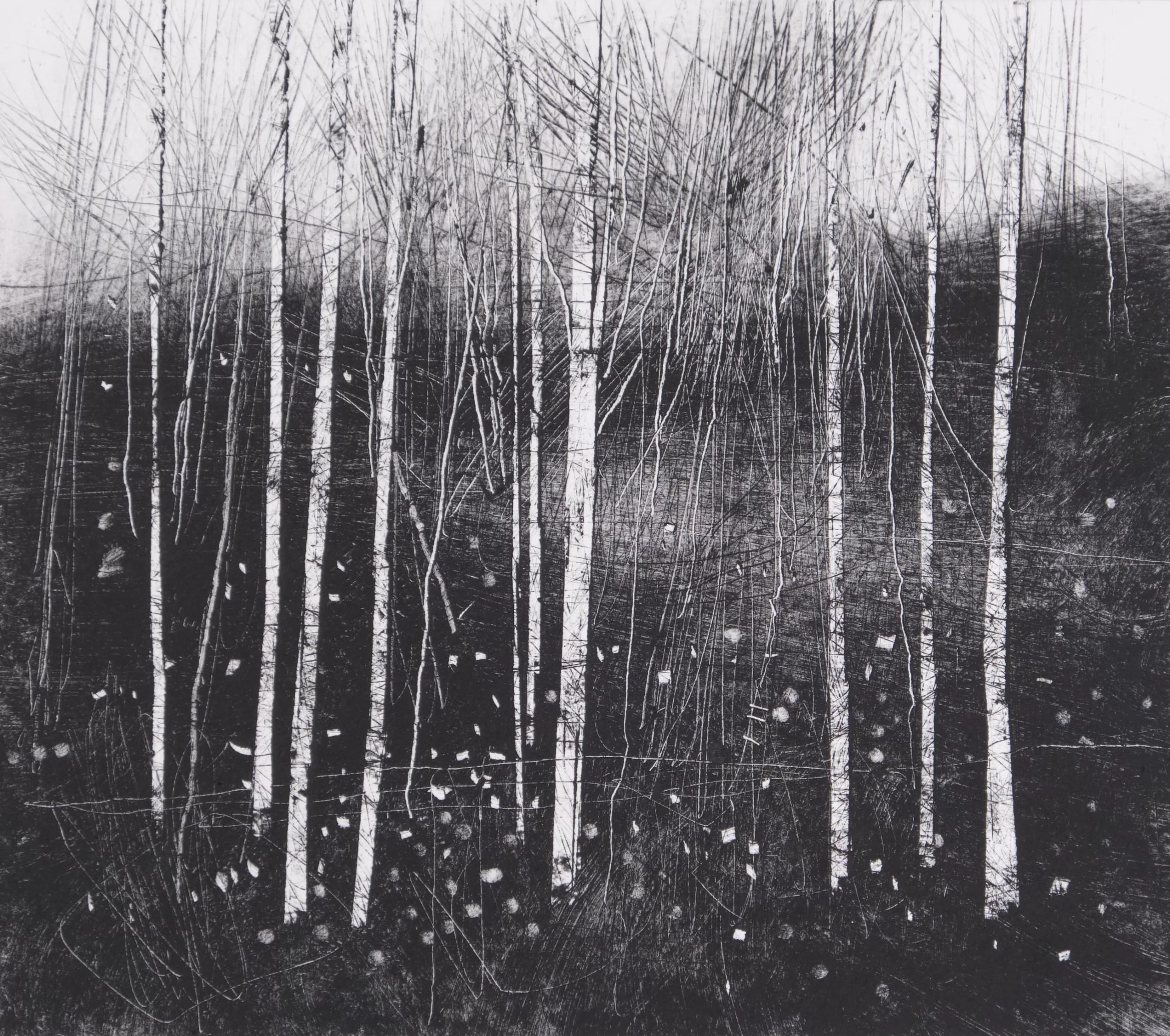 Hillside II, 1/1 monoprint by David A Parfitt RI