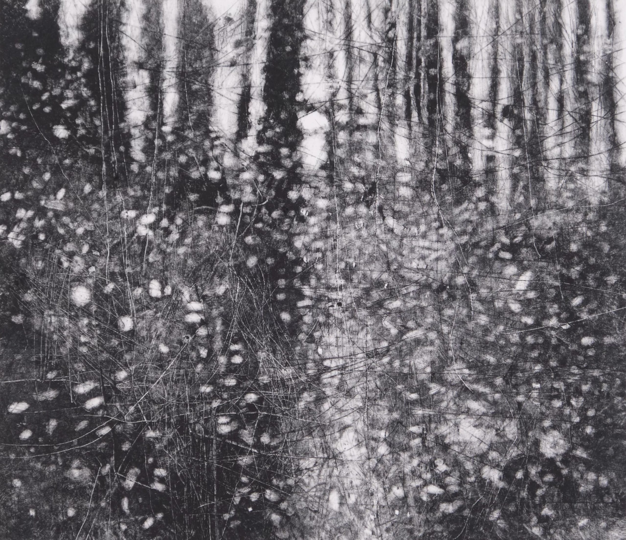 Wood Sun II, 1/1 monoprint by David a Parfitt RI