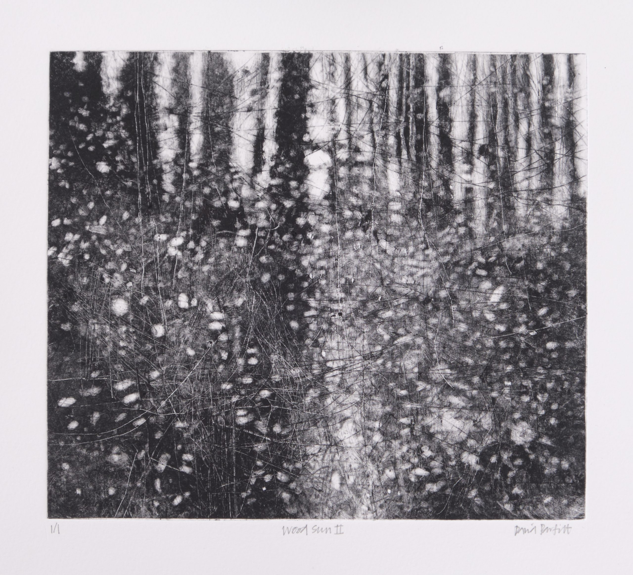 Wood Sun II, 1/1 monoprint by David a Parfitt RI