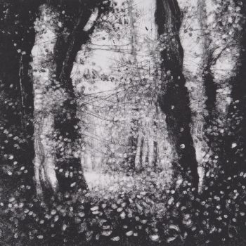 Clearing, 1/1 monoprint by David A Parfitt RI