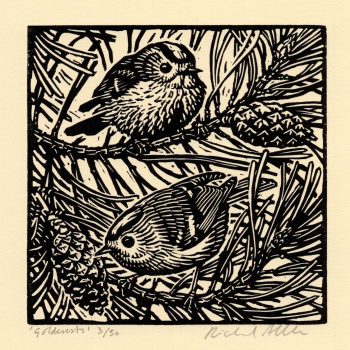 Goldcrests, limited edition linocut by Richard Allen SWLA