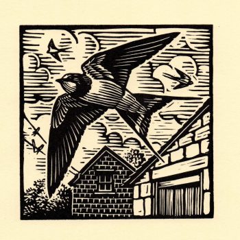 Swallows, limited edition linocut by Richard Allen SWLA