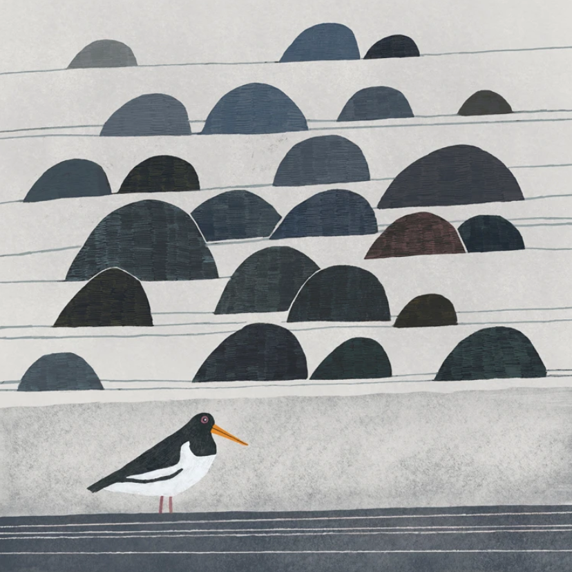 Stony Beach,greetings card by Tjitske Kamphuis (Paper Bird)