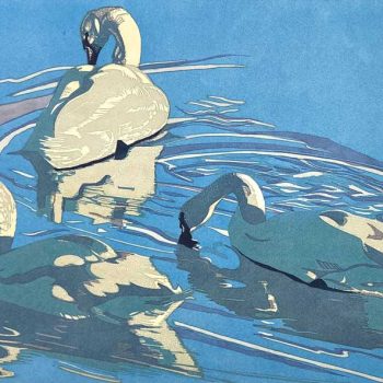 Winter Sun by Babs Pease