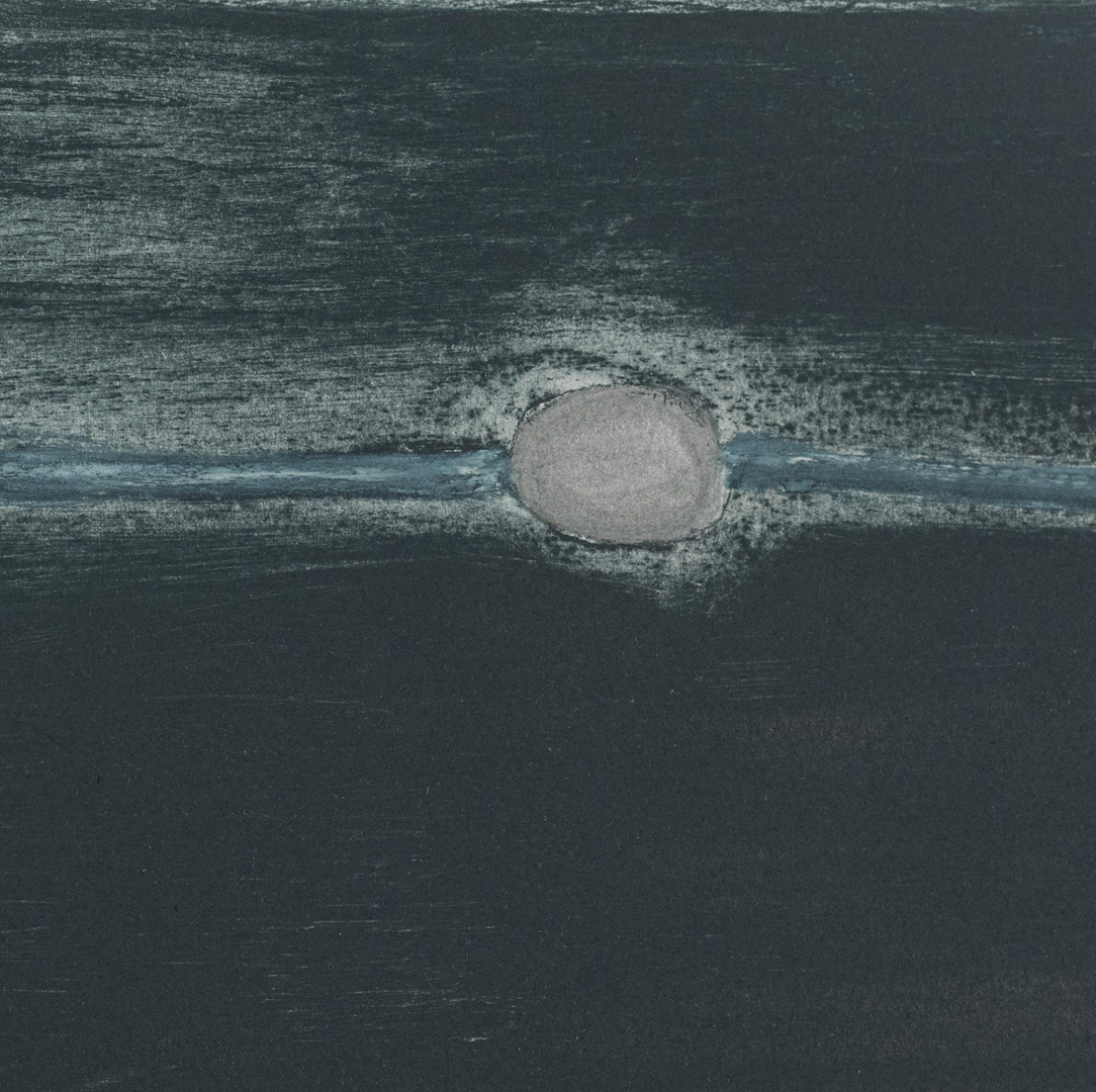 Detail 2 of Moonlight Nocturne, limited edition etching by Louise Davies RE
